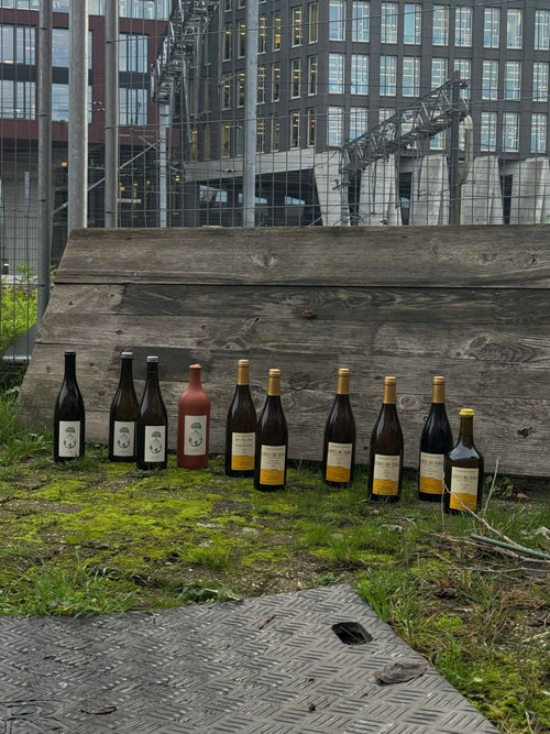 Zuiver Wijnen Update January 2026