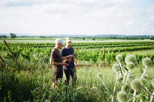 Nieuwe wijnen van Slobodne en 2Naturkinder, drie keer Emilia-Romagna, bezoek Rheinhessen en een speciaal Bini-event bij Café de Linden.