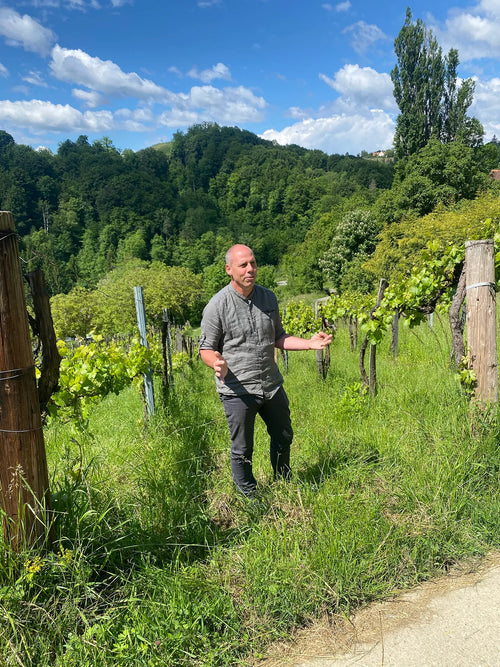 Steiermark trip, allocation Bohème and Matassa, and new wines to discuss