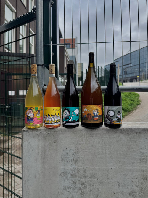 Welcoming Domaine l'Octavin, new wines from Bencze, maceration finesse by Podere Pradarolo