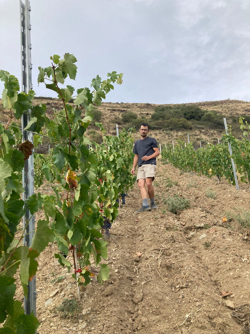 Domaine Cotzé