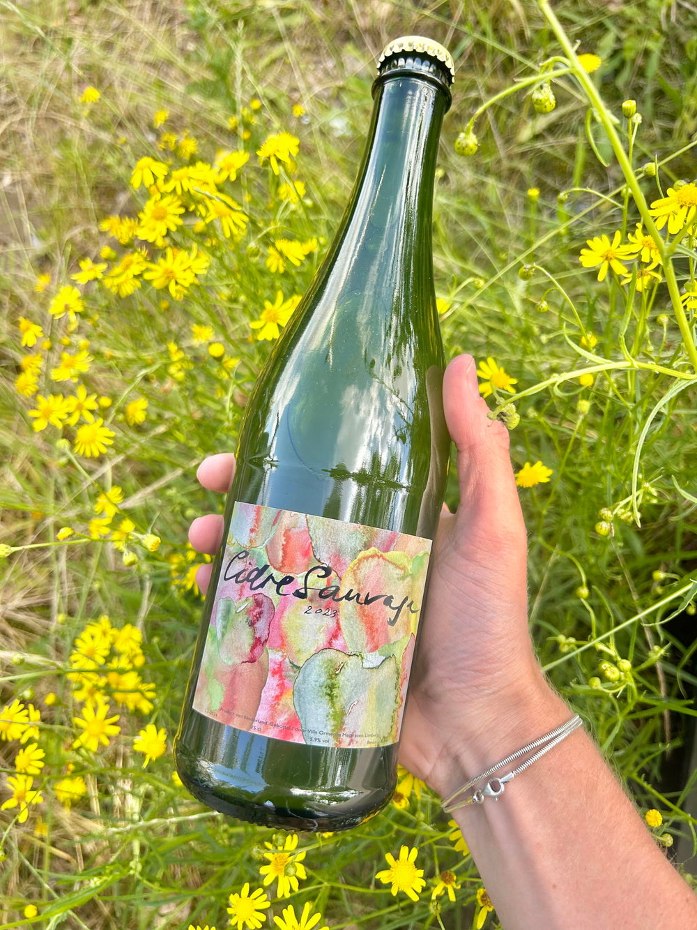 Bonne Benschop, Job Dejong & Reinier Hoon