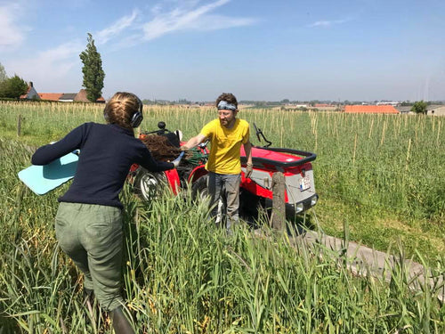 Wijngaard Lijsternest