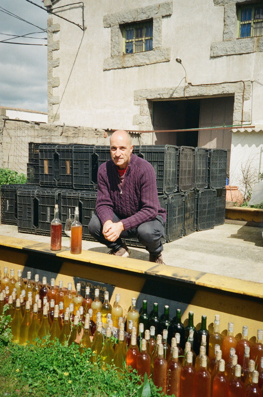 Vinos Ambiz