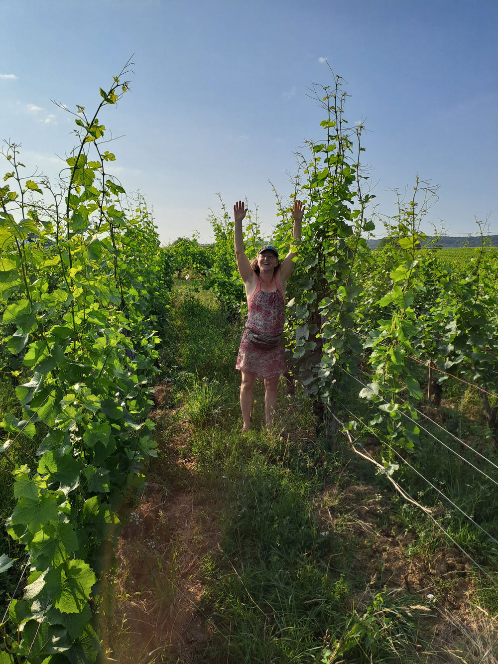 Domaine de l'Octavin