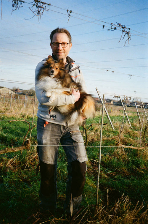 Wijngaard Lijsternest