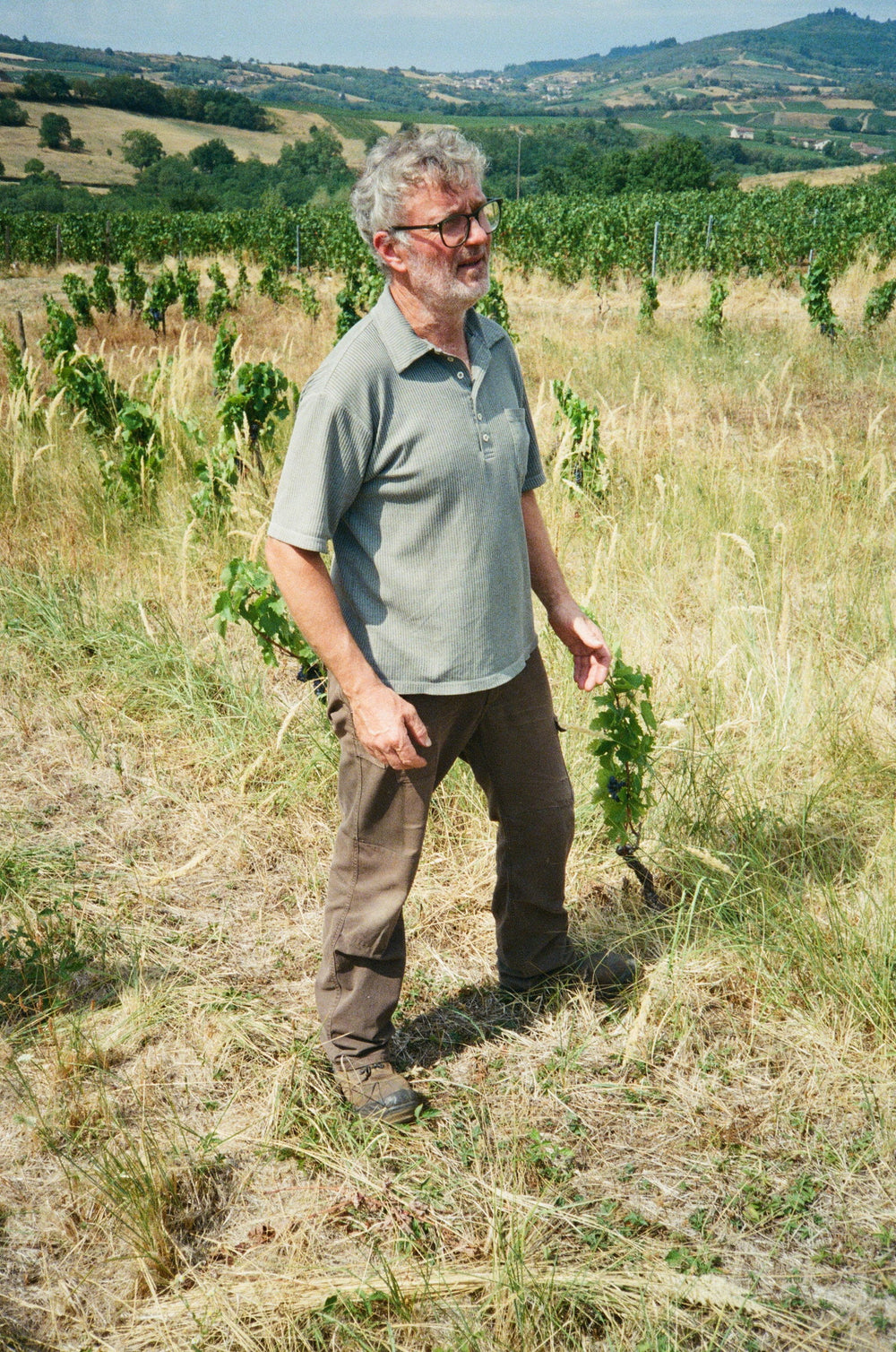 Domaine Philippe Jambon