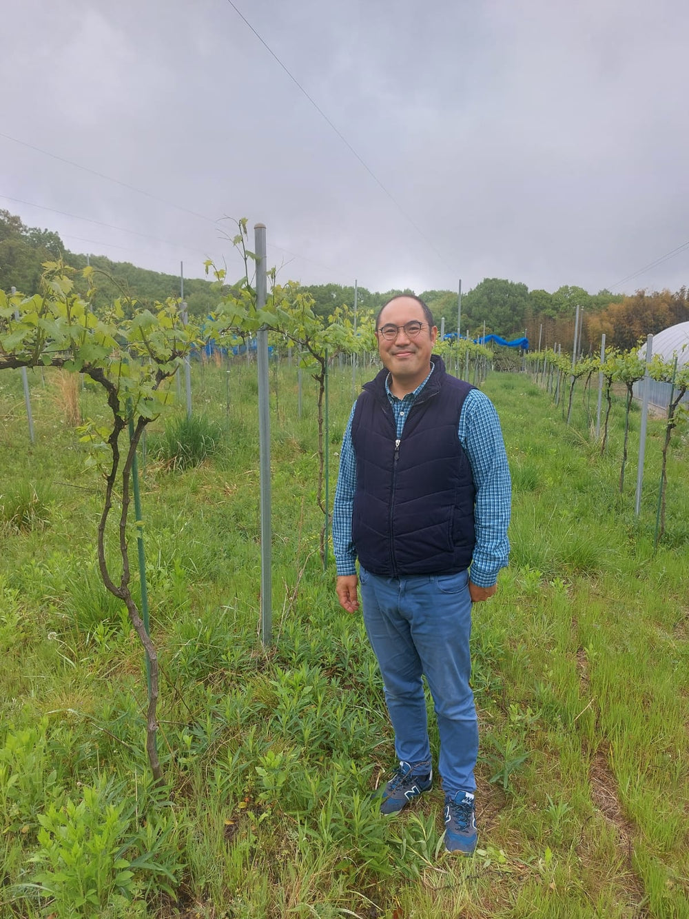 La Grande Colline JPN