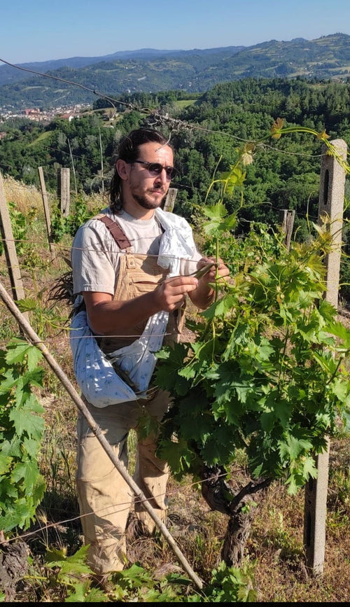 I Versanti - Bandiera Gialla Macerato 2022 - alternate view