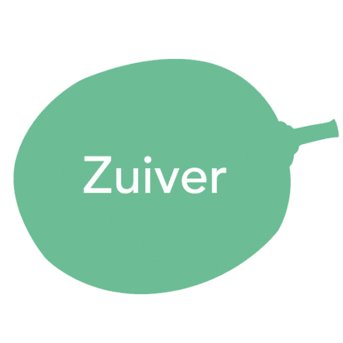 Zuiver Wijnen - Wijnpakket 'Drink Like A Georgian' - alternate view