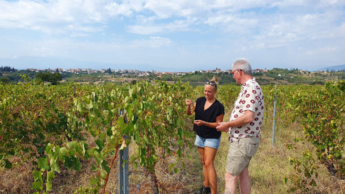 Ktima Ligas - MVL Assyrtiko 2022 - alternate view