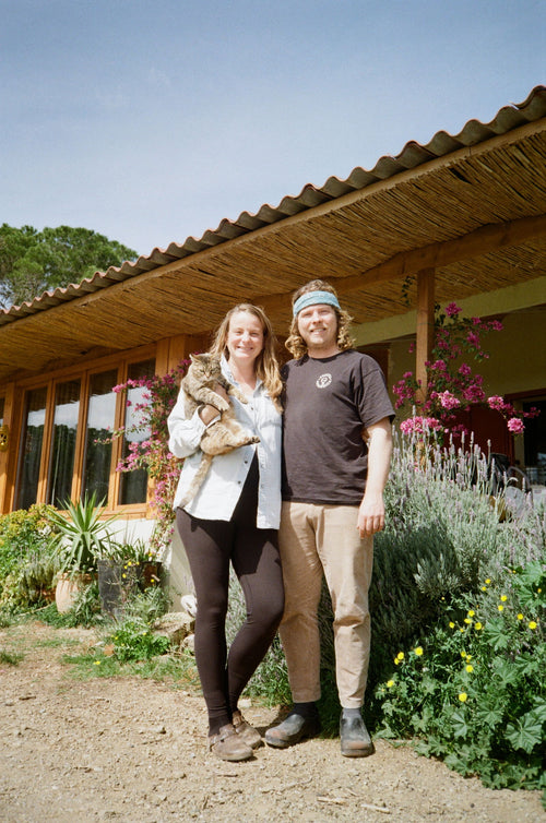 Vinyes Tortuga - Mojo 2024 - alternate view