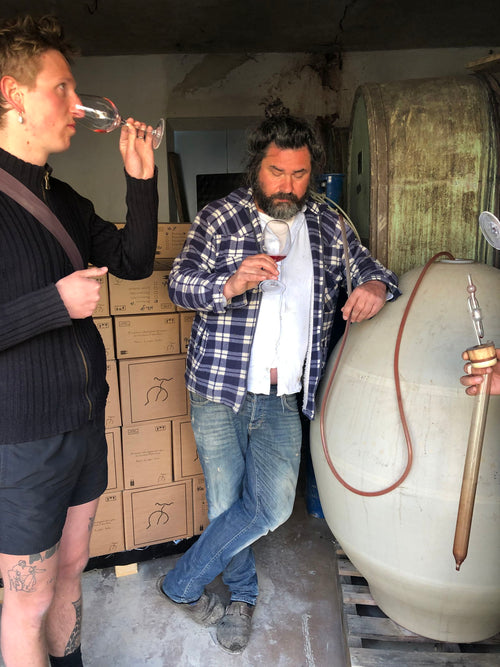 Fabio Gea - Langhe Nebbiolo 2020 - alternate view