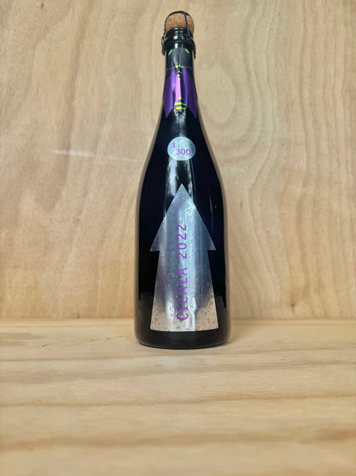 Gabrio Bini (Serraghia) - Cicala 2022