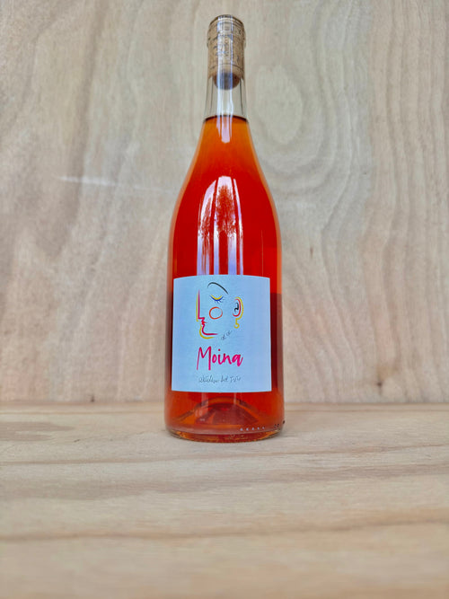 Natalino del Prete - Moina 2024