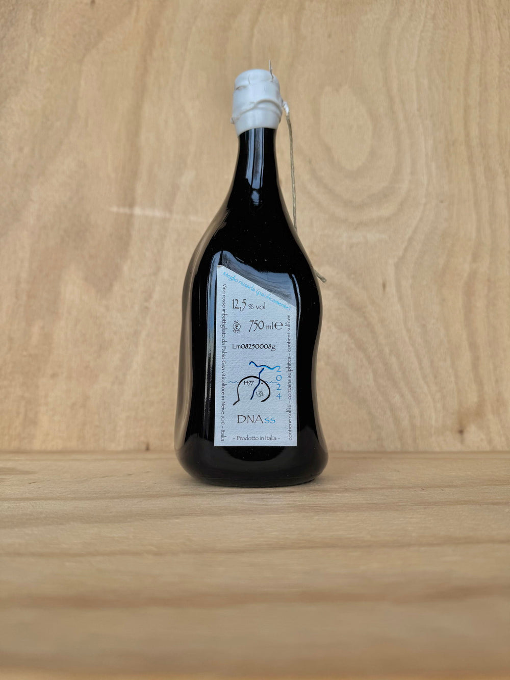 Fabio Gea - DNAss 2024