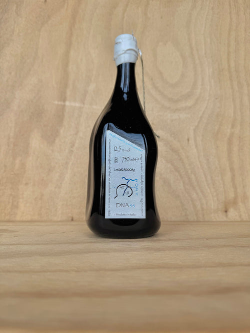 Fabio Gea - DNAss 2024