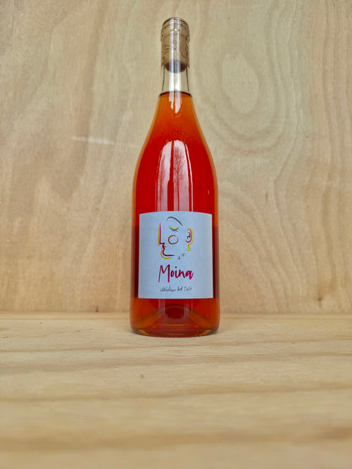 Natalino del Prete - Moina 2024