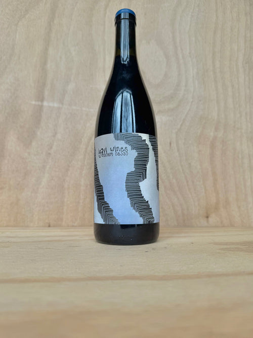 Igavi Wines - Orbeluri Ojaleshi 2023