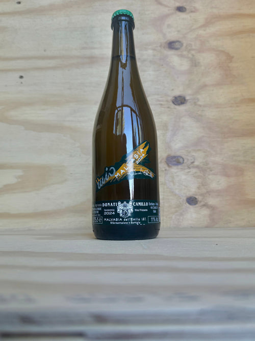 Donati Camillo - Malvasia 2024