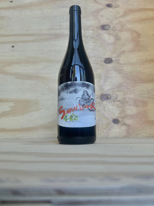Panevino - Survivor Bianco 2023