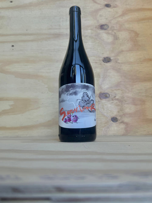 Panevino - Survivor Rosato 2023