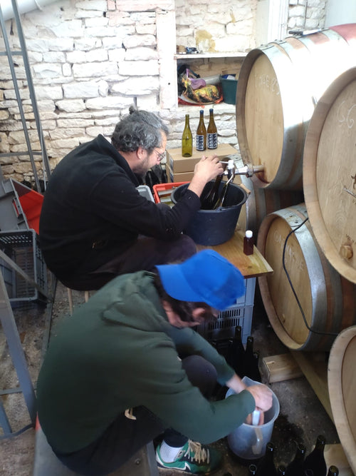 Les Jardiniers Vignerons - Gamay MG 2022 - alternate view