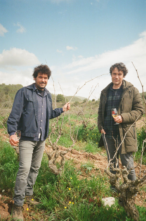 La Rural - Malvasia de Sitges 2022 - alternate view