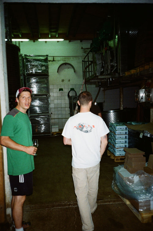 Marto Wines - Riesling 2023 - alternate view