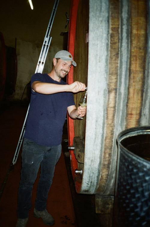 Weingut Andi Mann - Rötlich Mischkultur 2022 - alternate view