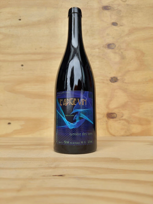Jean-Pierre Robinot (Les Vignes de L'Ange Vin) - Lumière des Sens 2023