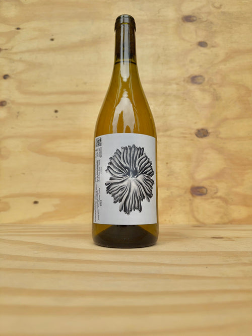 Les Jardiniers Vignerons - HCN Aux Champs Perdrix 2024