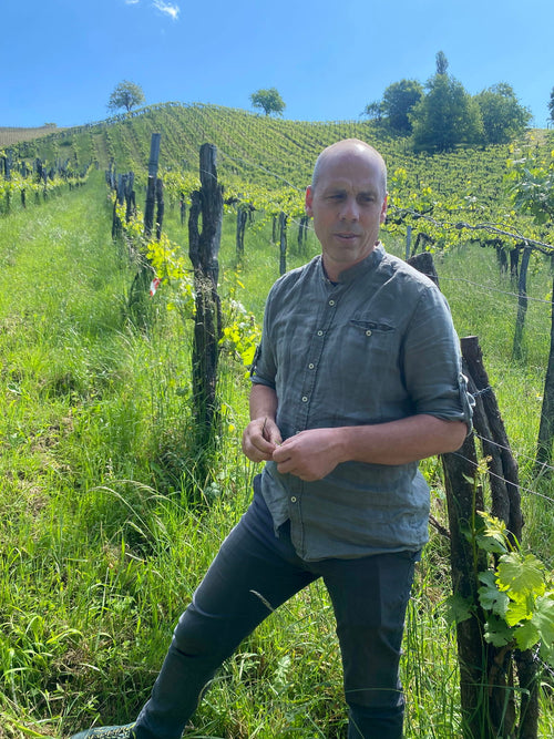 Weingut Werlitsch - Ex Vero I R 2021 - alternate view