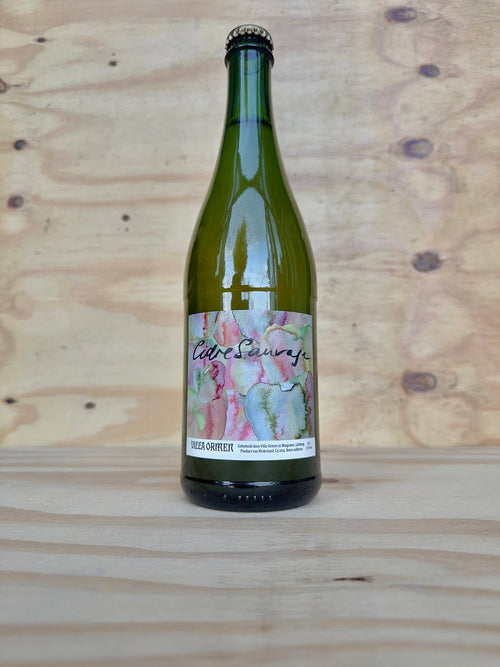 Bonne Benschop - Cidre Sauvage 2024 – natuurlijke cider uit Limburg, Nederland