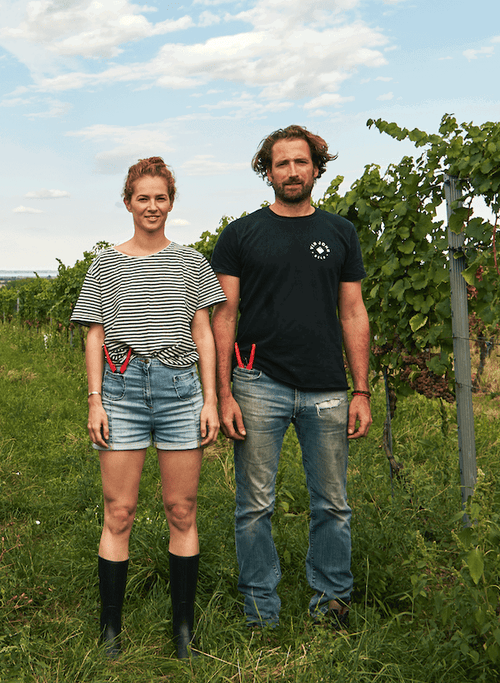 Gut Oggau - Maskerade Rosé 2024/2025 - alternate view