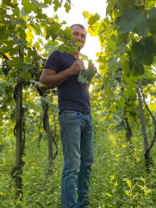 Makaridze - Cuvée 09 - TOS 2022 - alternate view