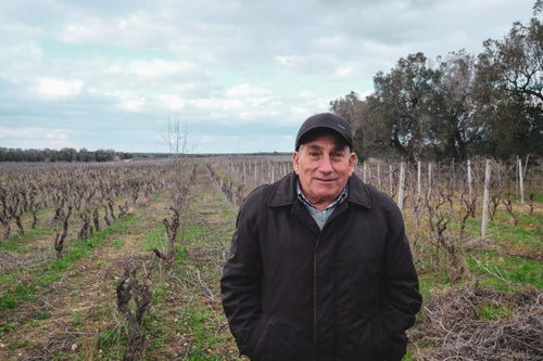 Natalino del Prete - Agricola Q Rosato 2022 - alternate view