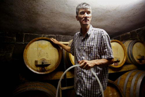 Vina Šuman - Sivi Pinot 2019 - alternate view