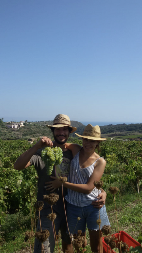 Tanca Nica - Kaffefi 2022 - alternate view