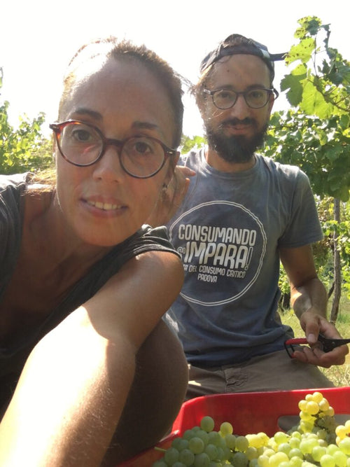 Vigna Flor - Sotto La Pelle 2021 - alternate view