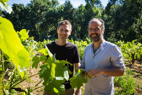 Els Vinyerons - Pregadéu Cava 2024 - alternate view