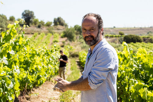 Amós Bañeres - Vinya Oculta 2022 - alternate view