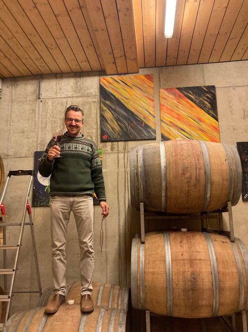 Weingut Strohmeier - Schiller Frizzante 2025 - alternate view