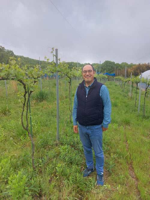 La Grande Colline JPN - Le Canon Pét Nat 2023 - alternate view