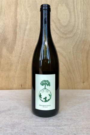 Weingut Werlitsch - Sauvignon Blanc vom Opok 2021
